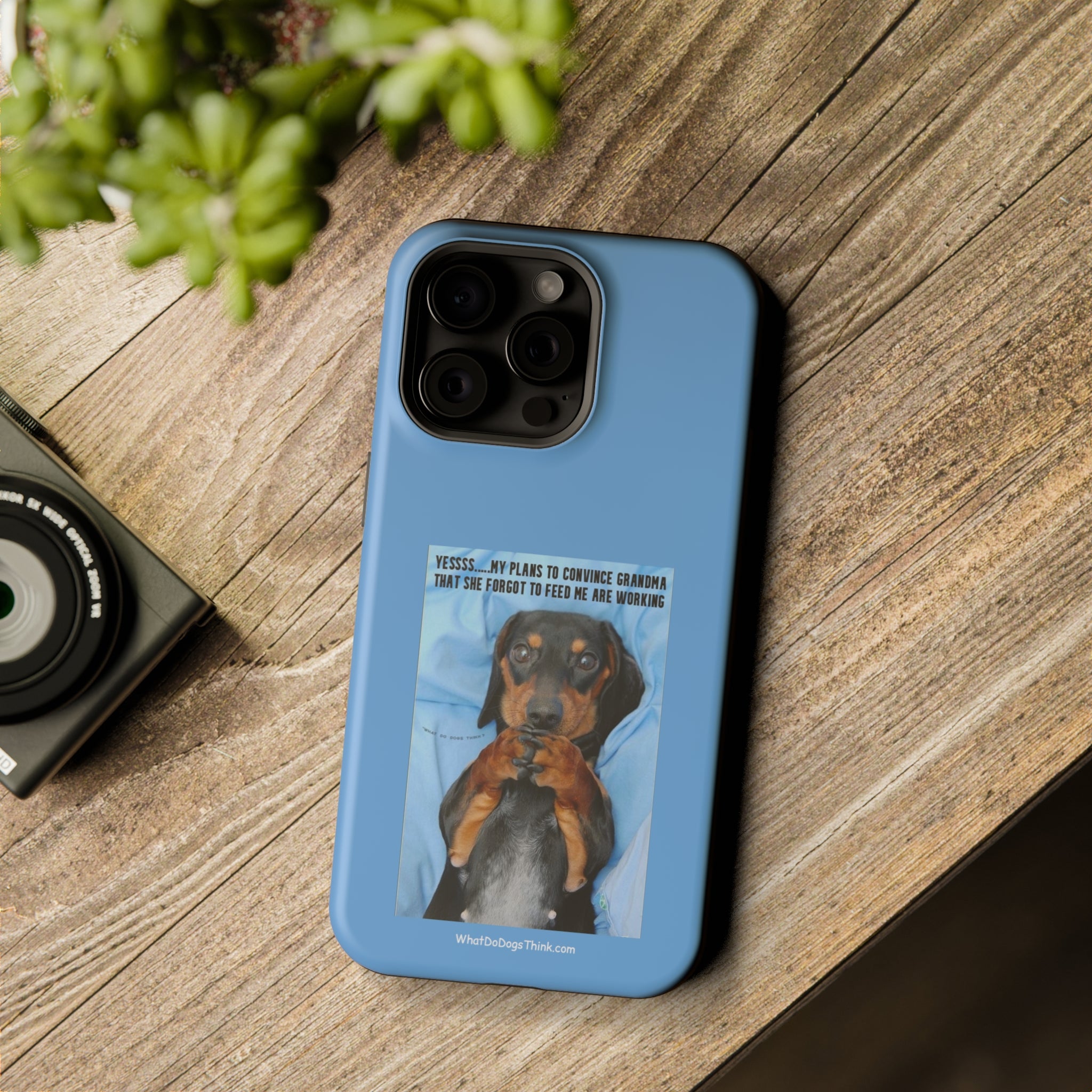 Grandma Blue MagSafe Tough Cases