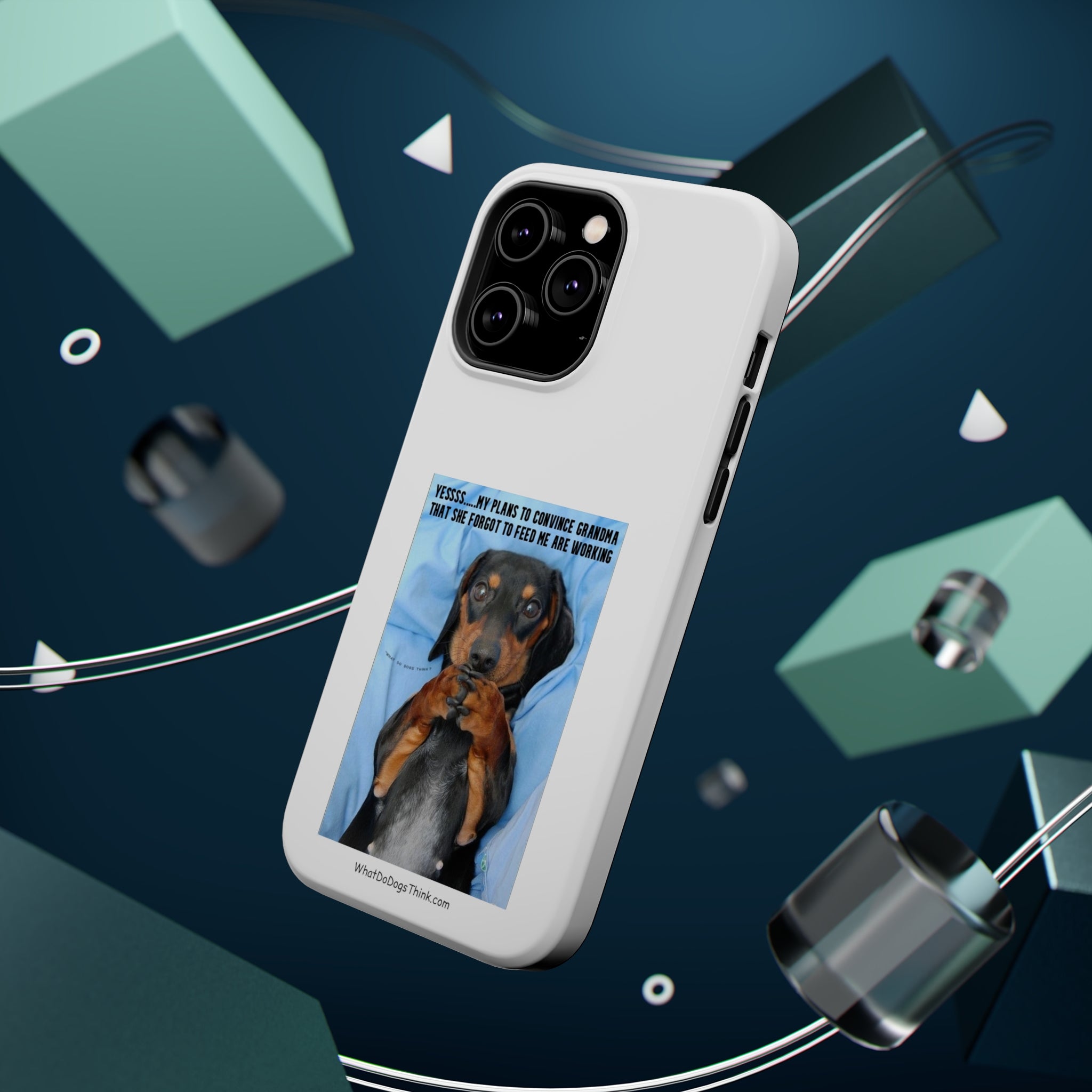 Grandma White MagSafe Tough Cases