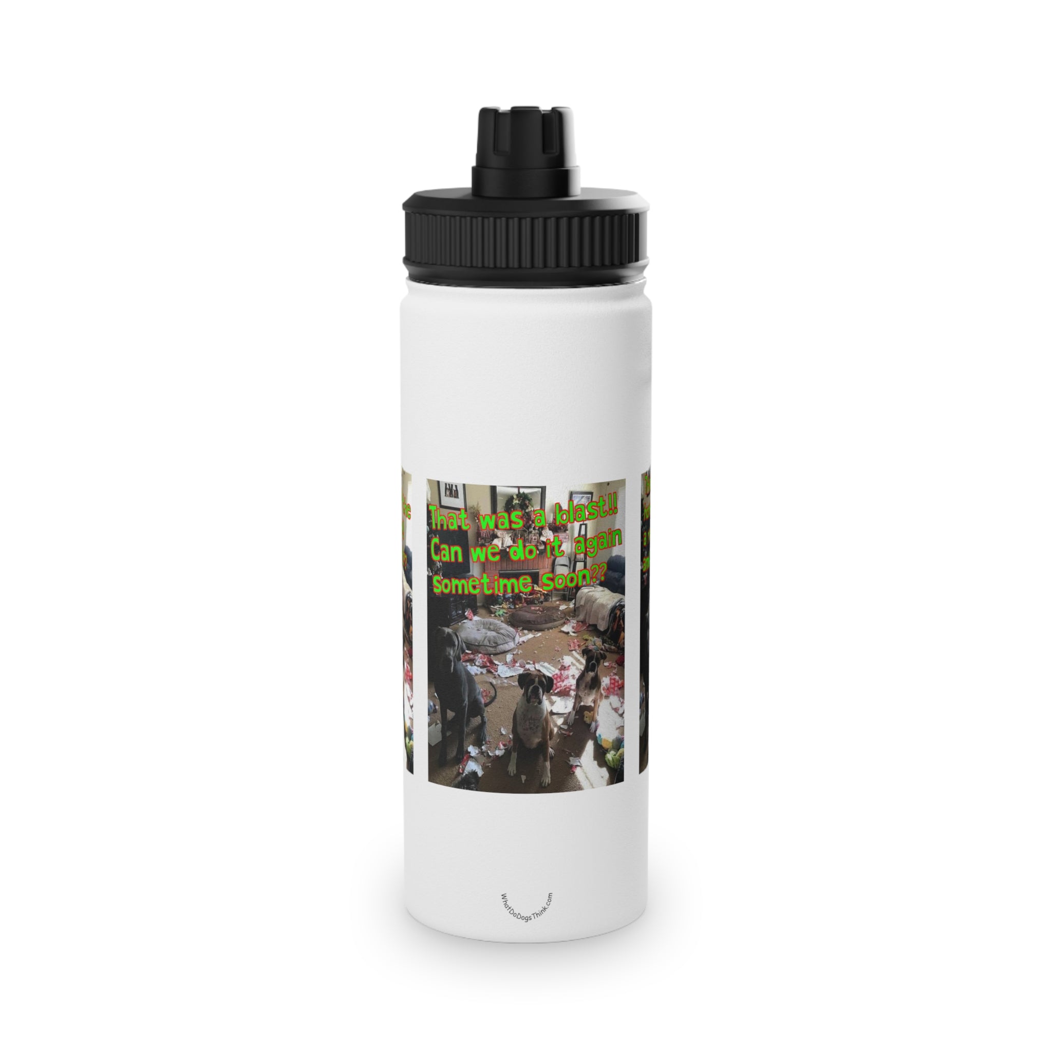 Christmas Party Stainless Steel Water Bottle, Sports Lid