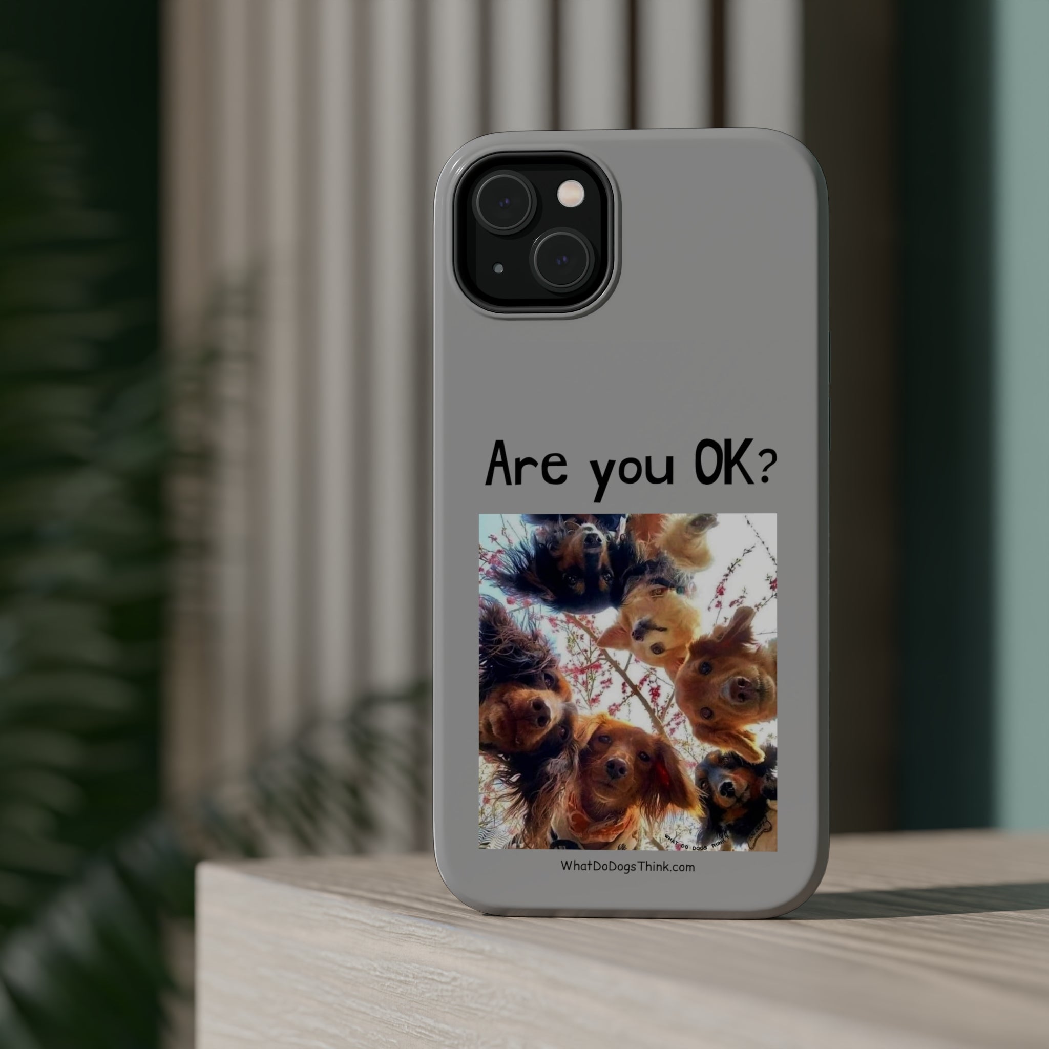 Are you OK? Grey MagSafe Tough Cases