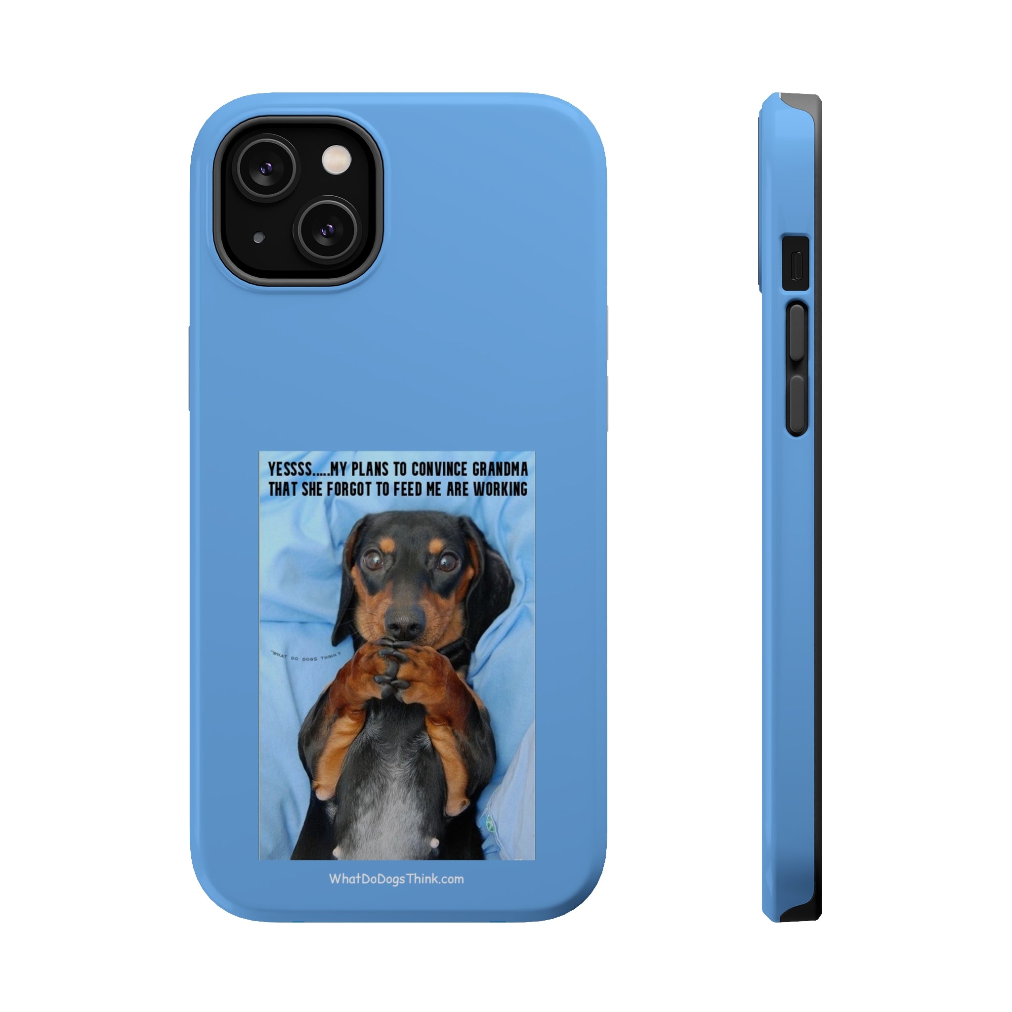 Grandma Blue MagSafe Tough Cases