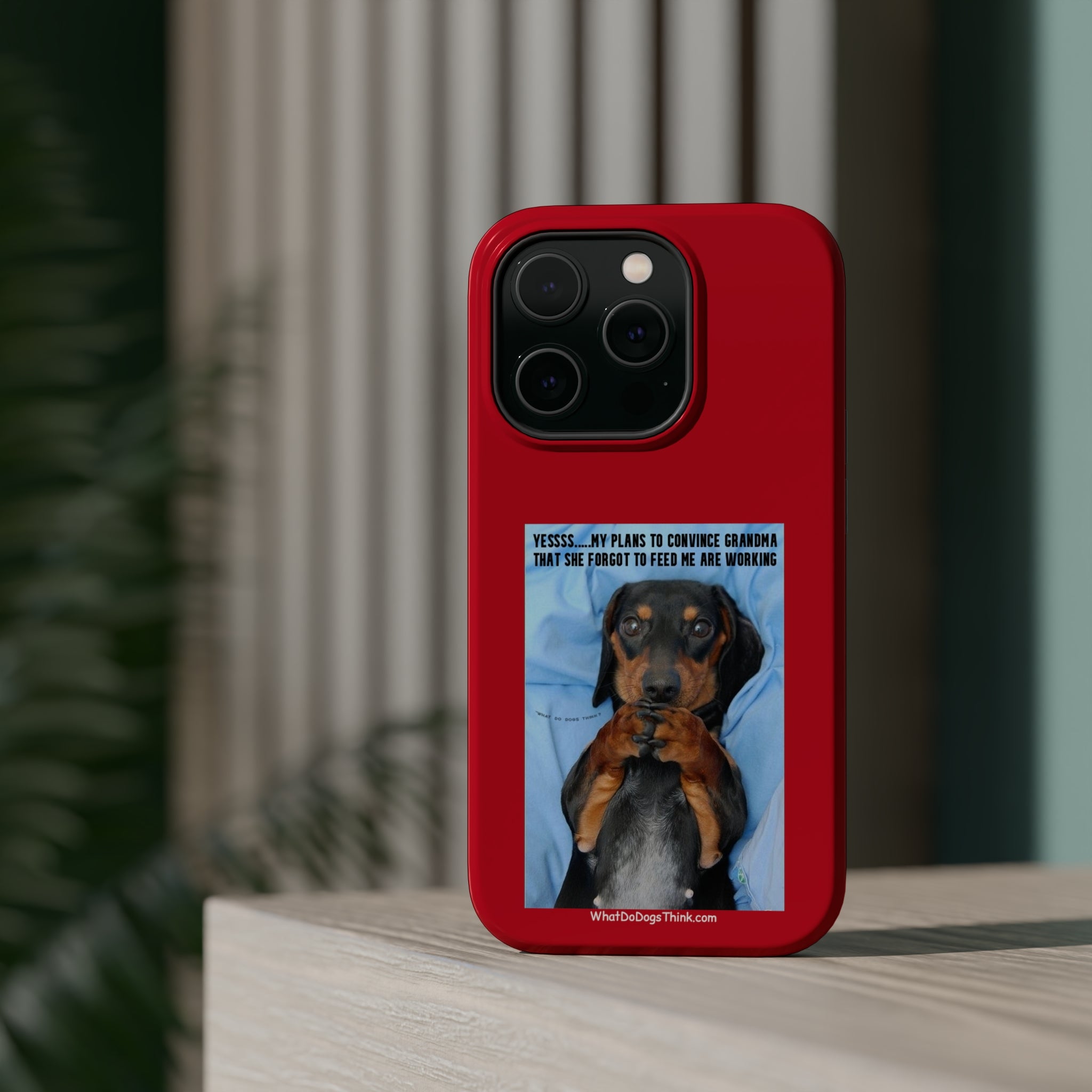 Grandma Red MagSafe Tough Cases