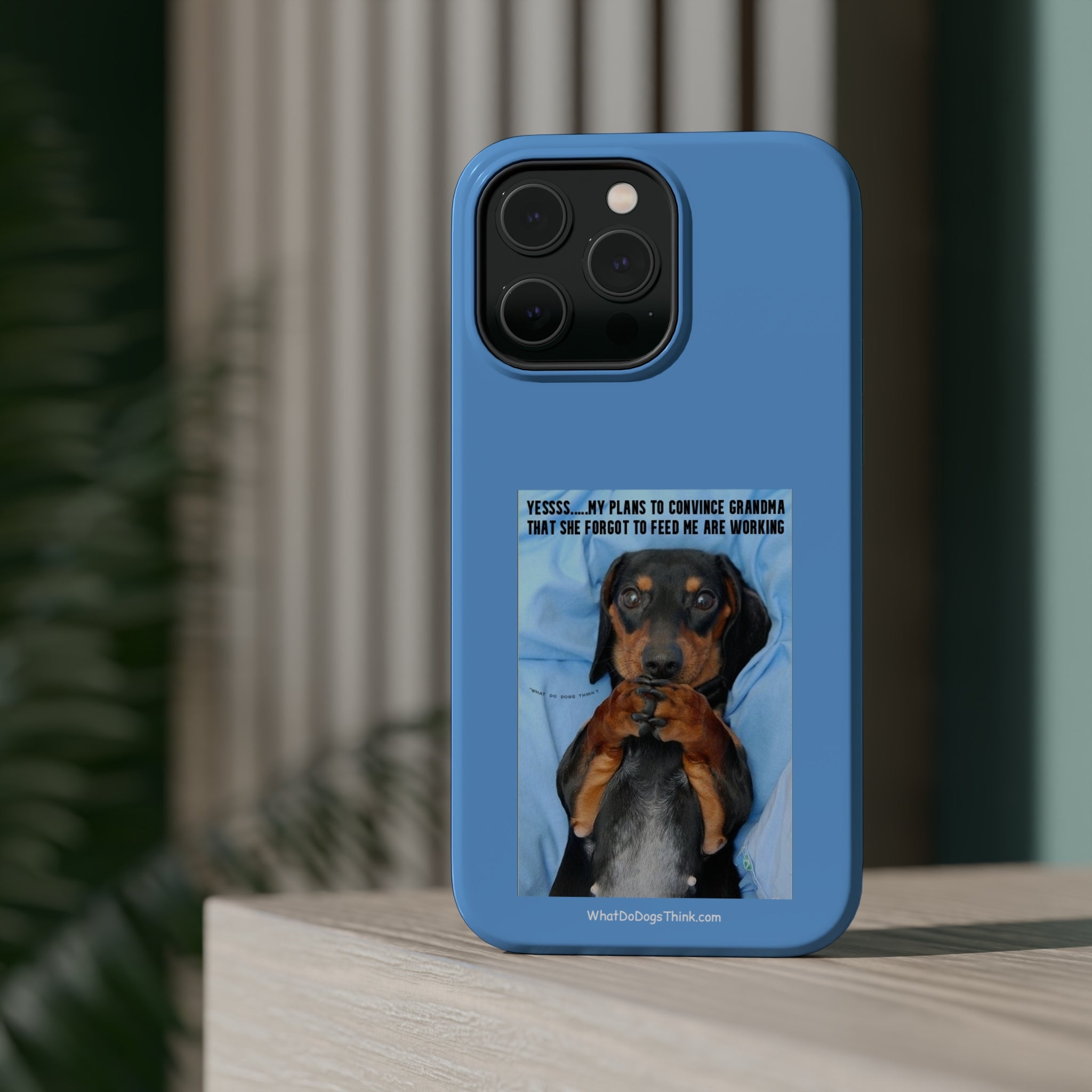 Grandma Blue MagSafe Tough Cases