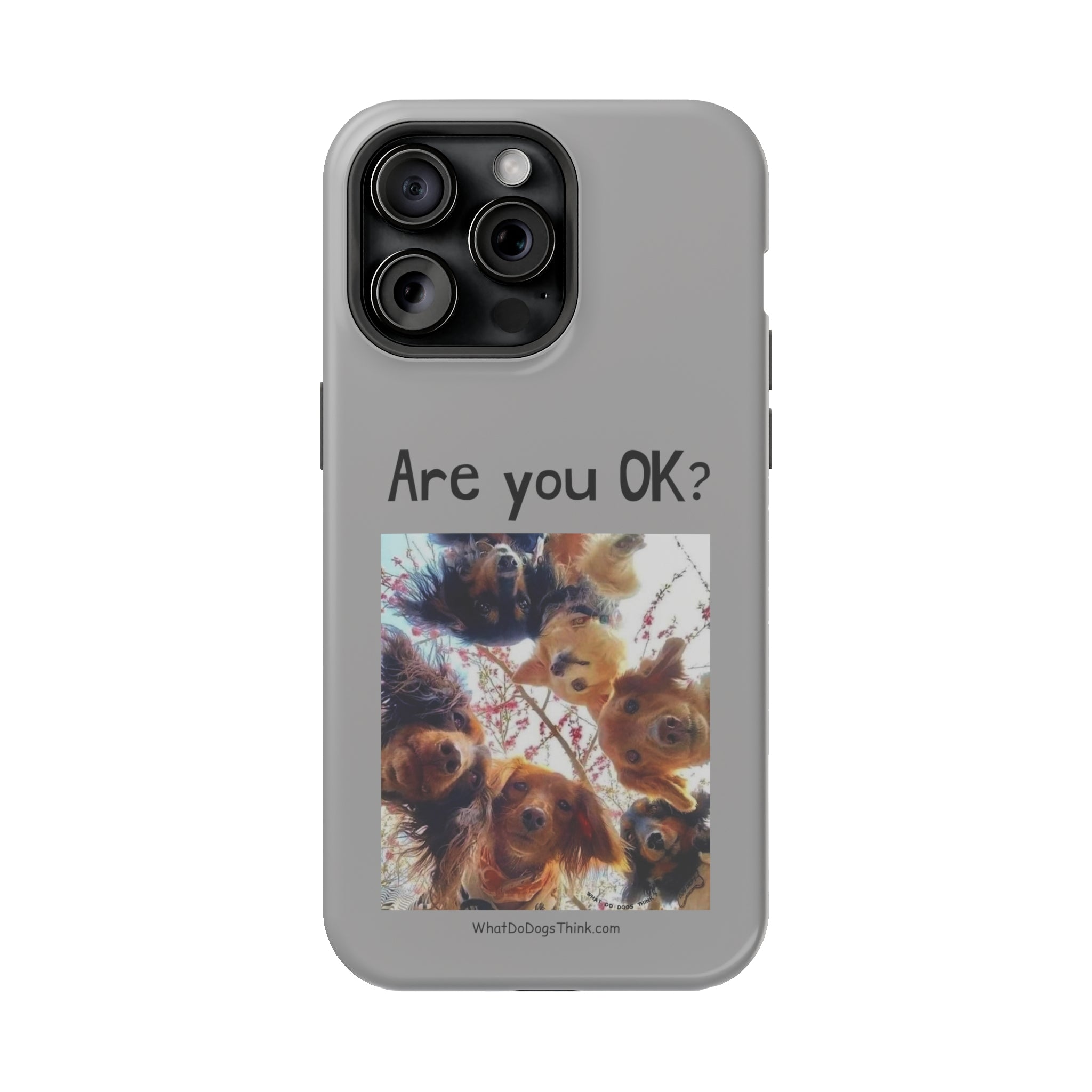 Are you OK? Grey MagSafe Tough Cases