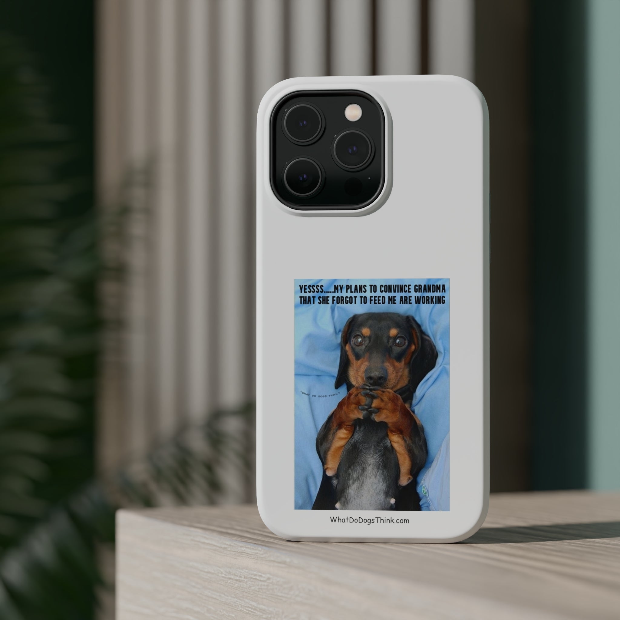 Grandma White MagSafe Tough Cases