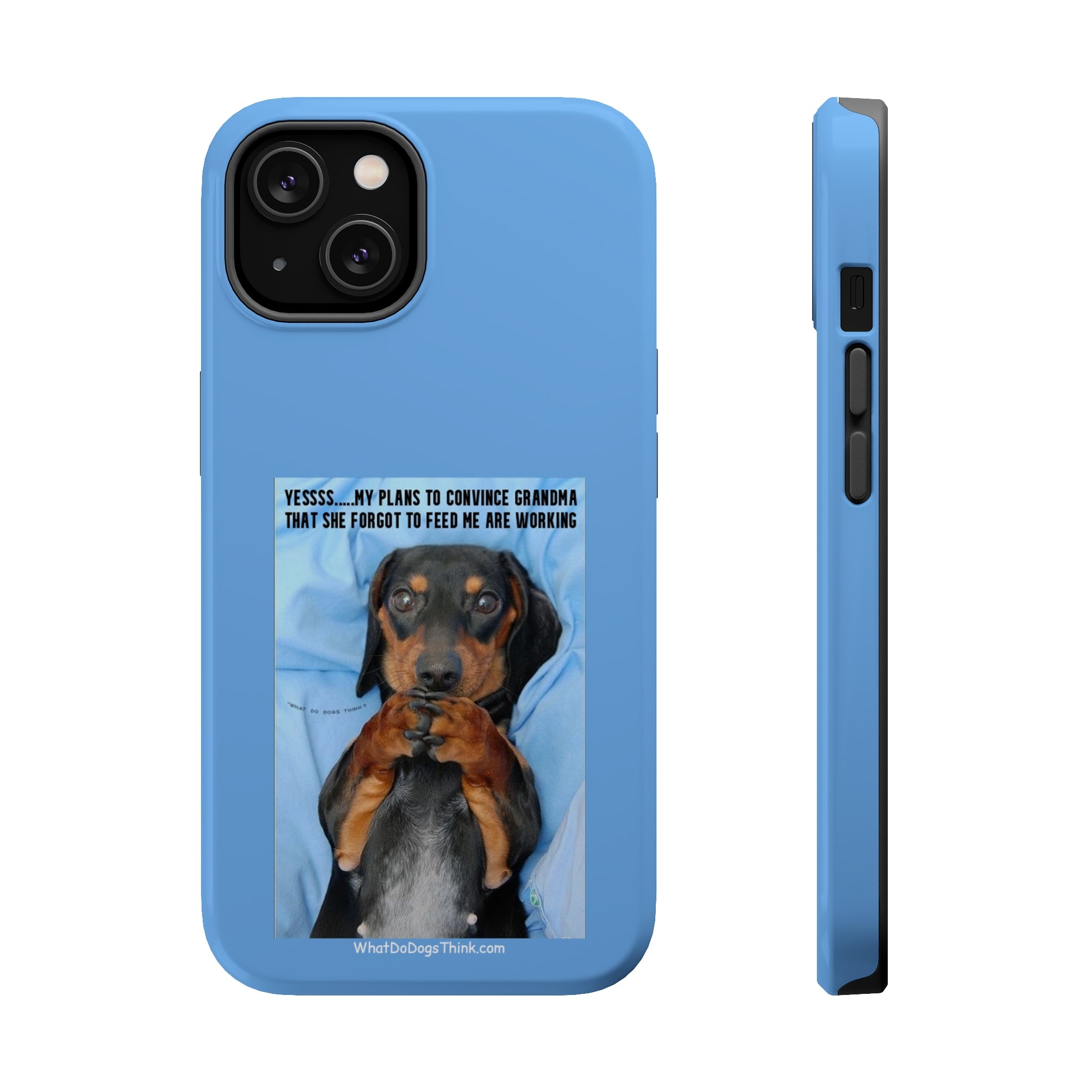 Grandma Blue MagSafe Tough Cases