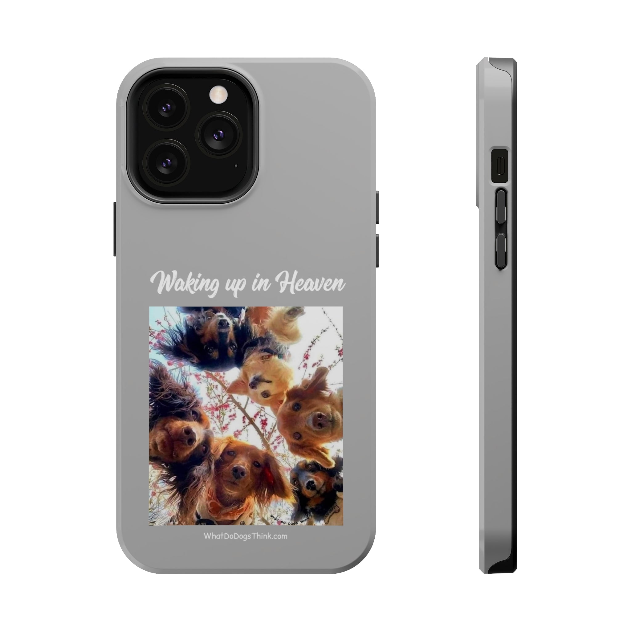 Waking Up In Heaven Gray MagSafe Tough Cases