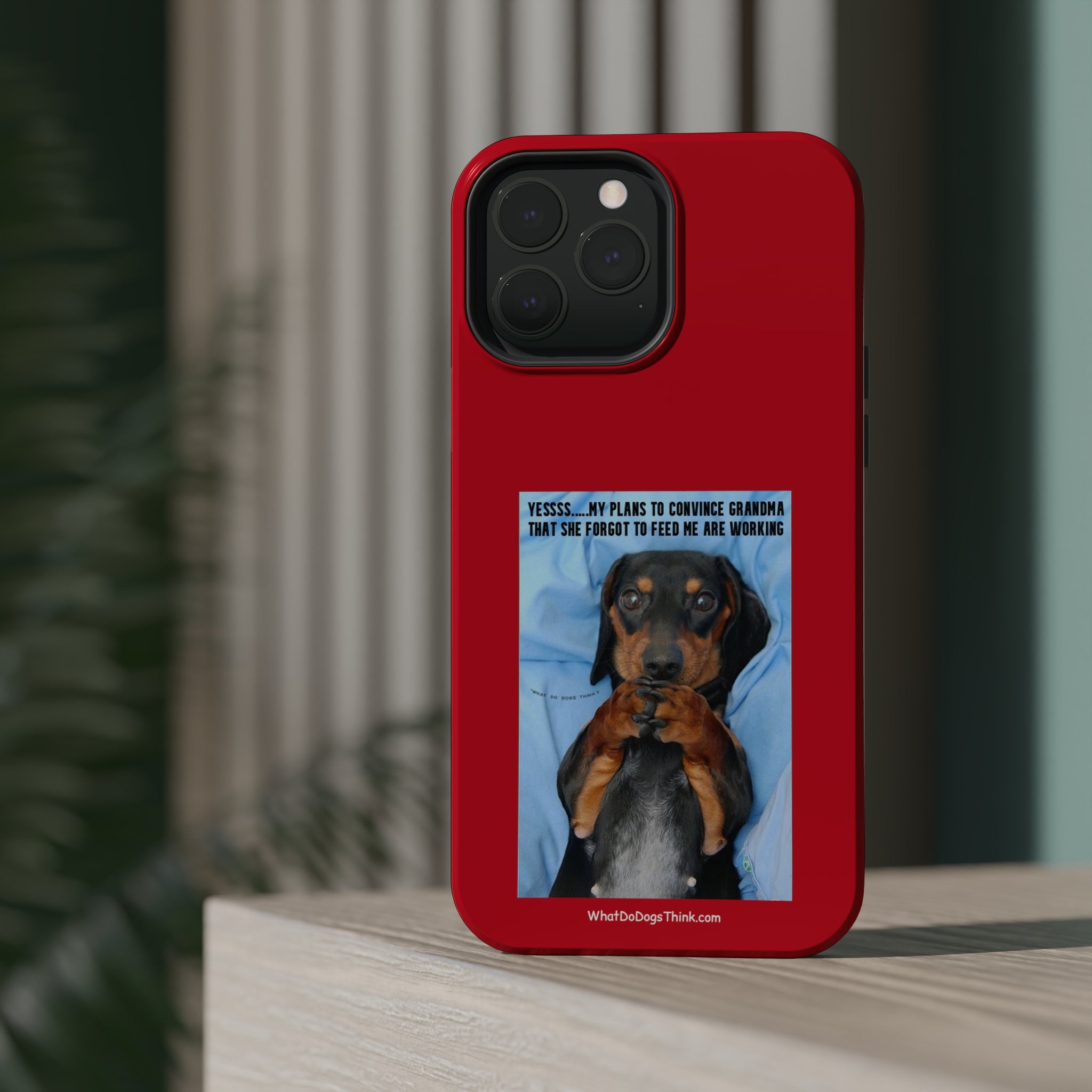 Grandma Red MagSafe Tough Cases