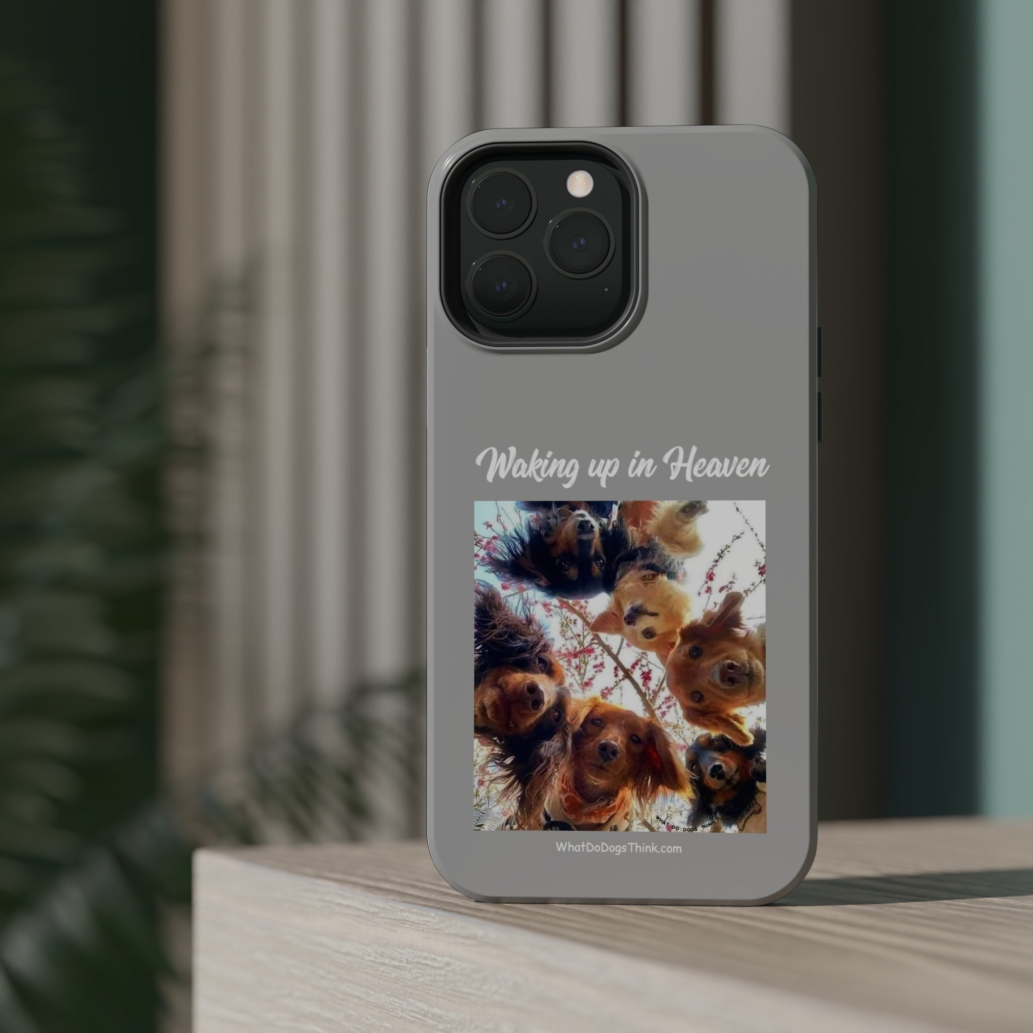 Waking Up In Heaven Gray MagSafe Tough Cases