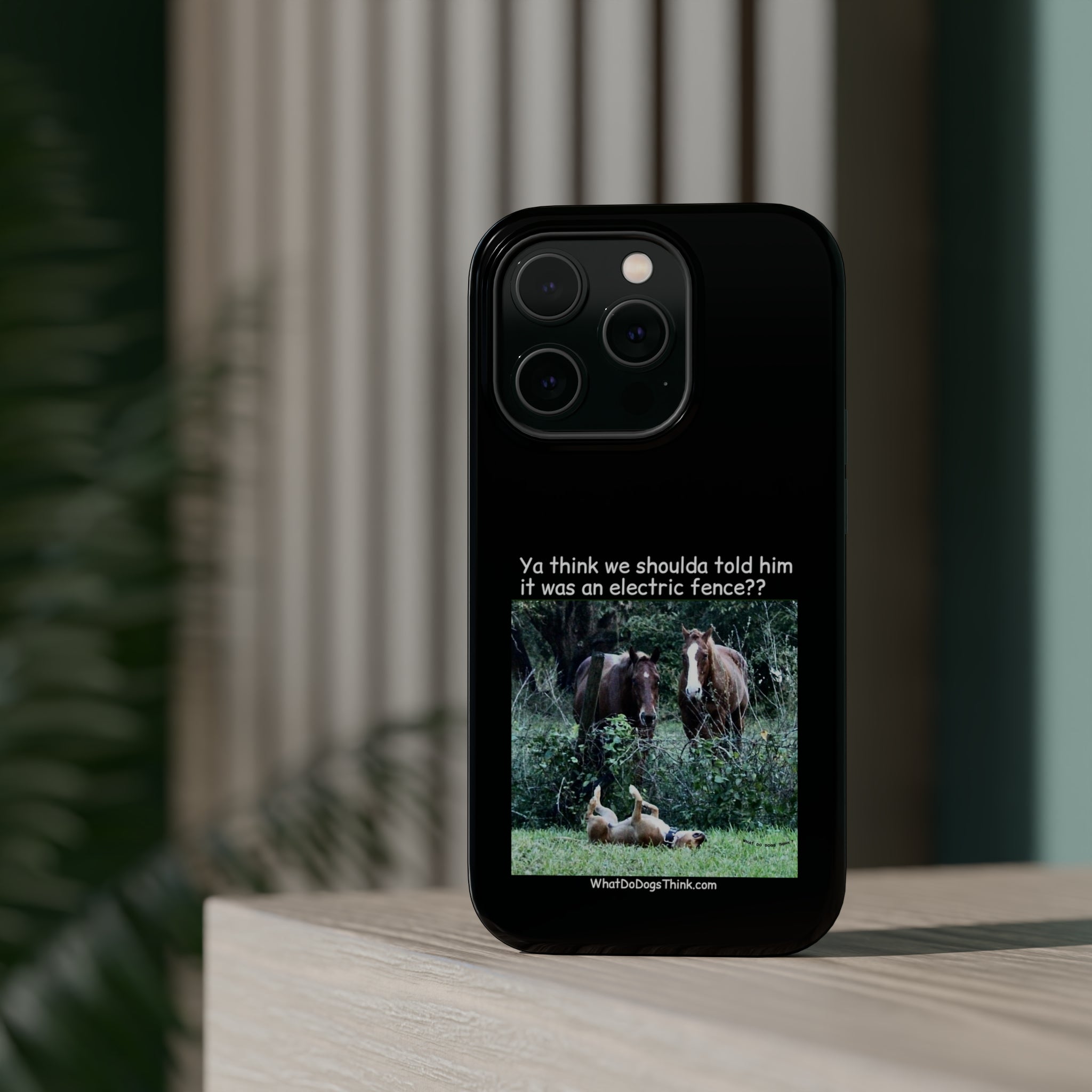 Electric Fence Black MagSafe Tough Cases