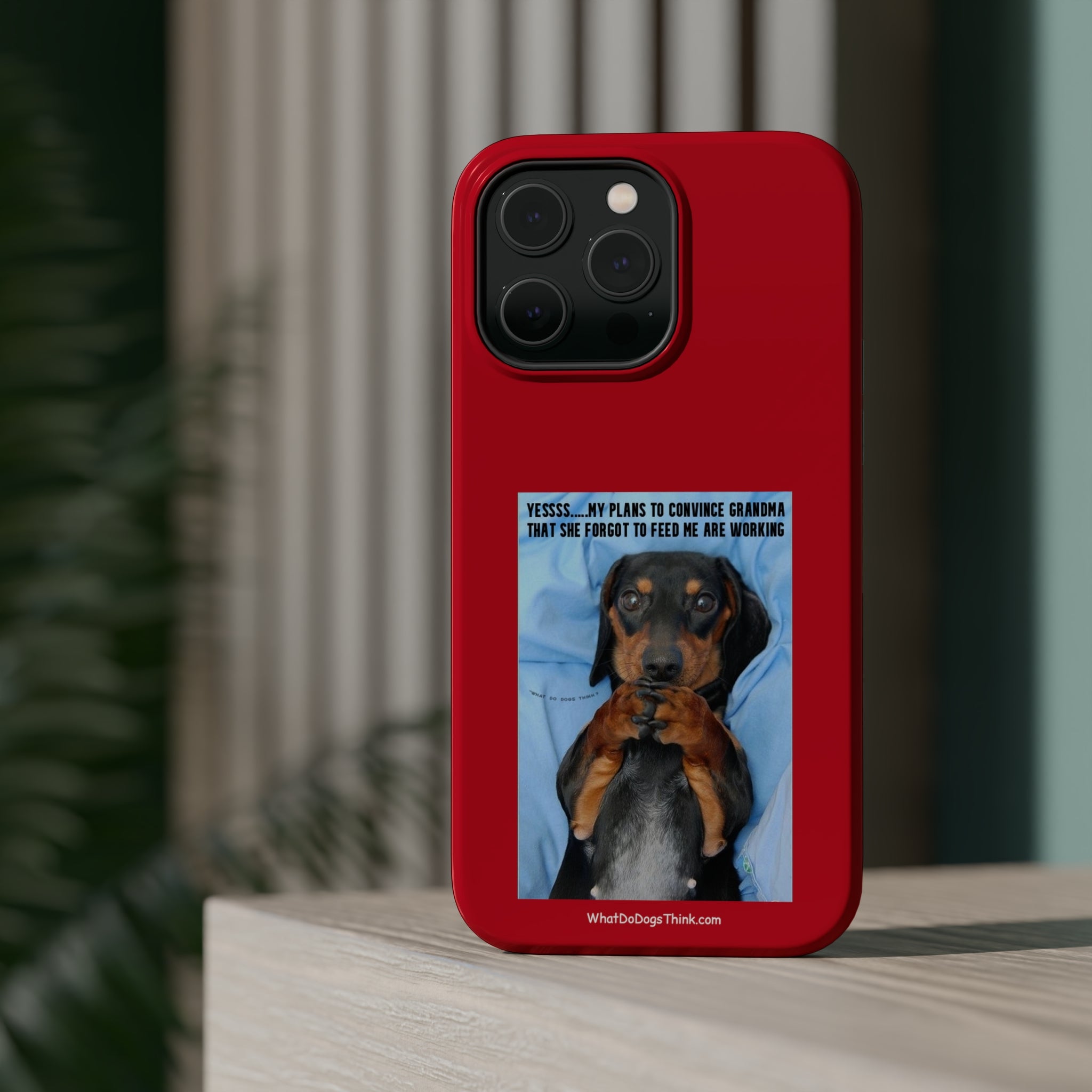 Grandma Red MagSafe Tough Cases