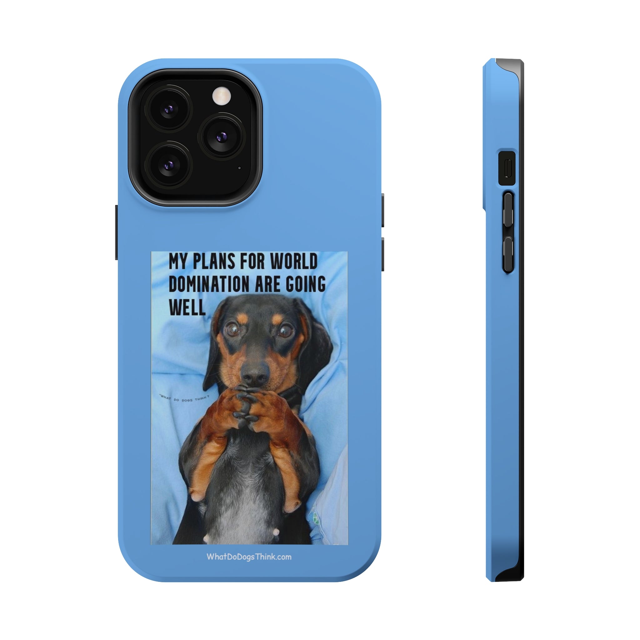 World Domination Blue MagSafe Tough Cases