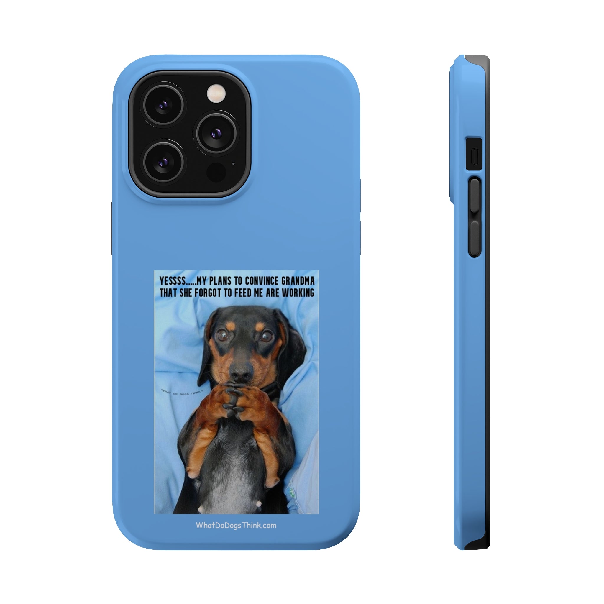 Grandma Blue MagSafe Tough Cases