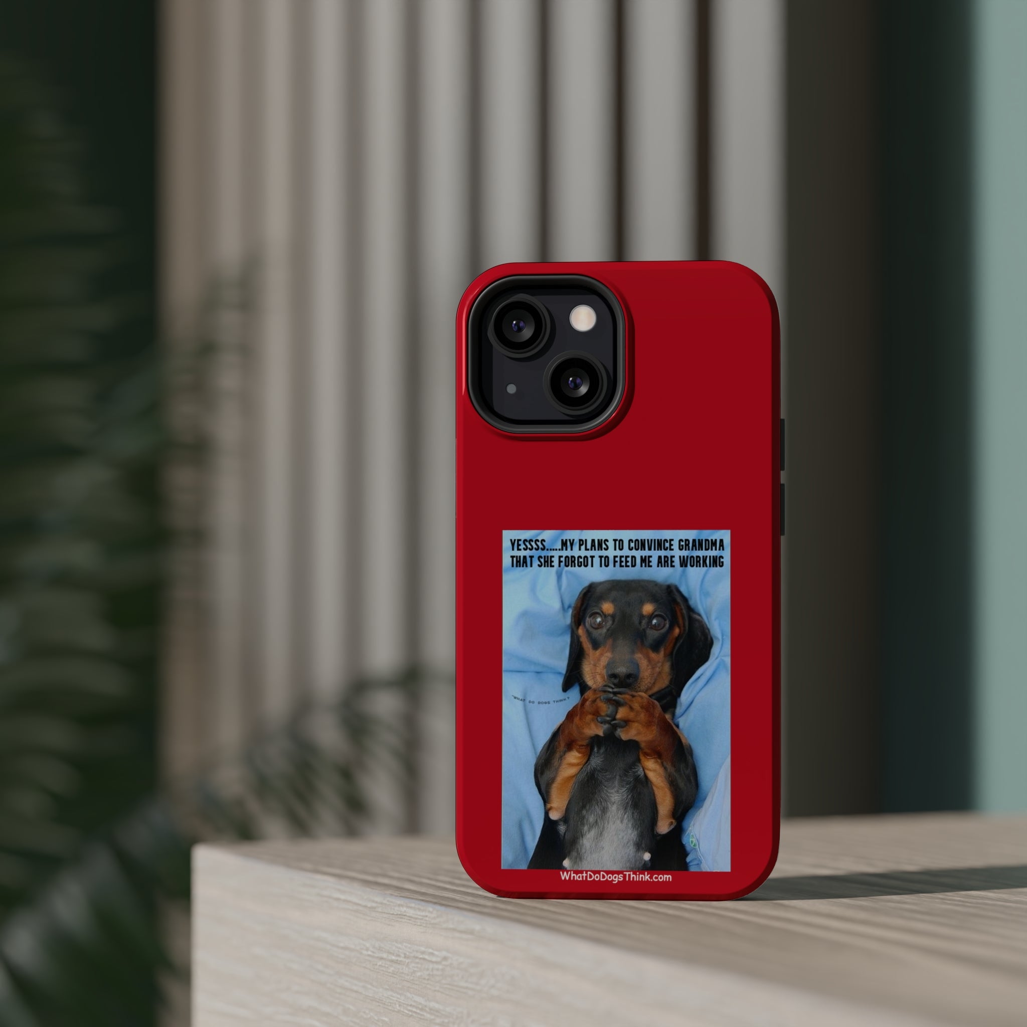 Grandma Red MagSafe Tough Cases