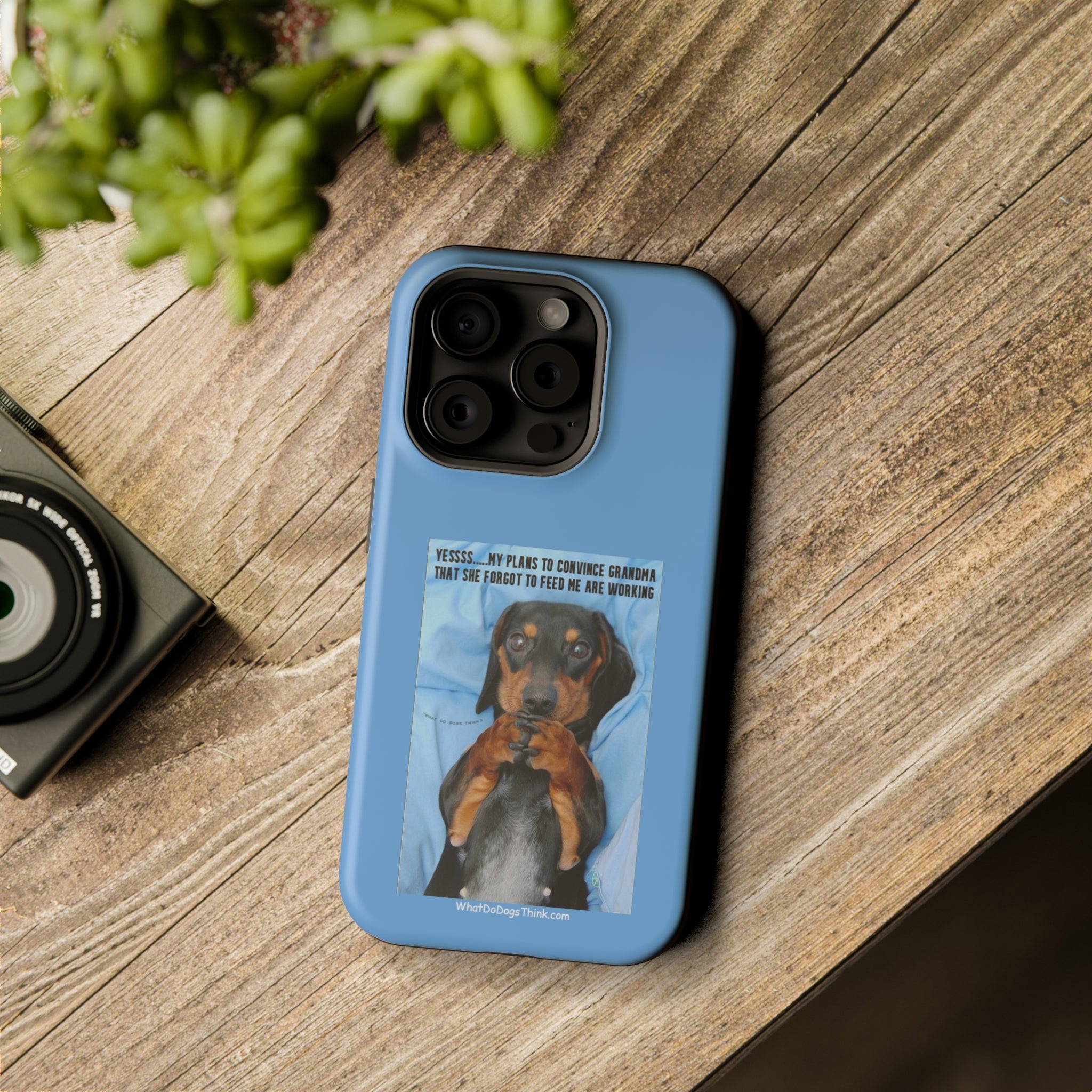 Grandma Blue MagSafe Tough Cases