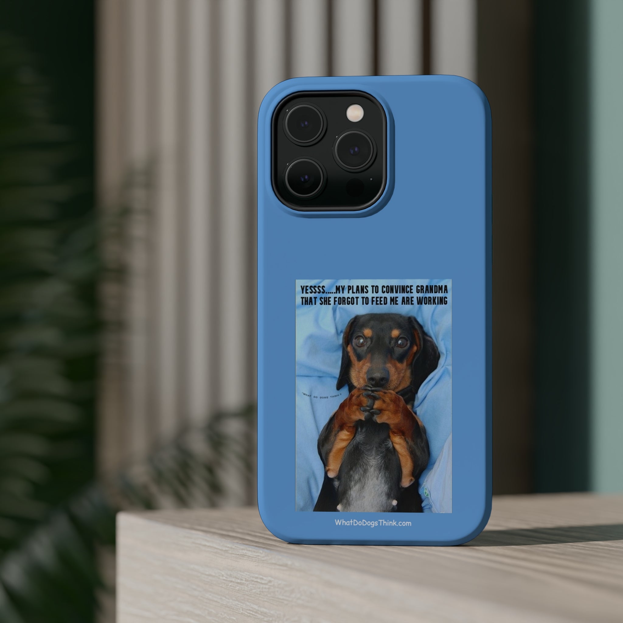 Grandma Blue MagSafe Tough Cases