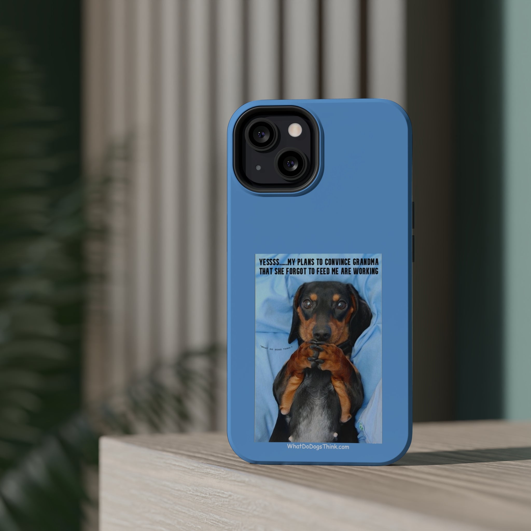 Grandma Blue MagSafe Tough Cases