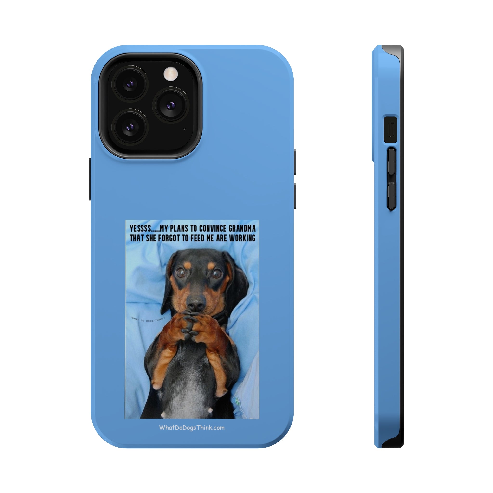 Grandma Blue MagSafe Tough Cases