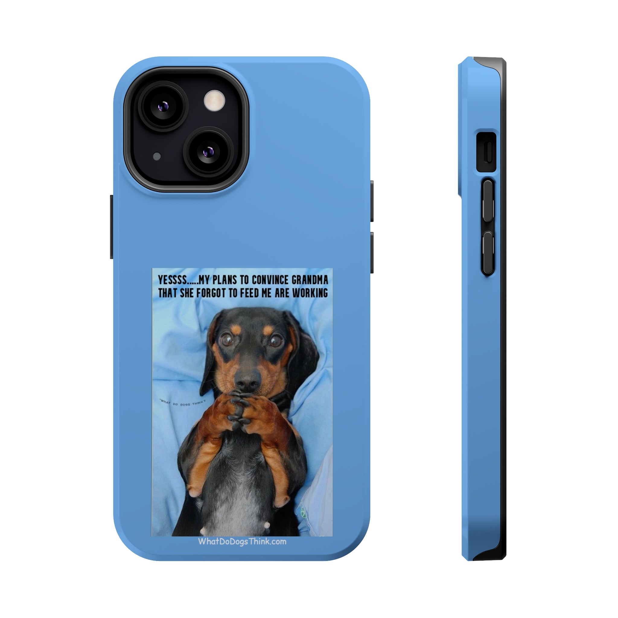 Grandma Blue MagSafe Tough Cases