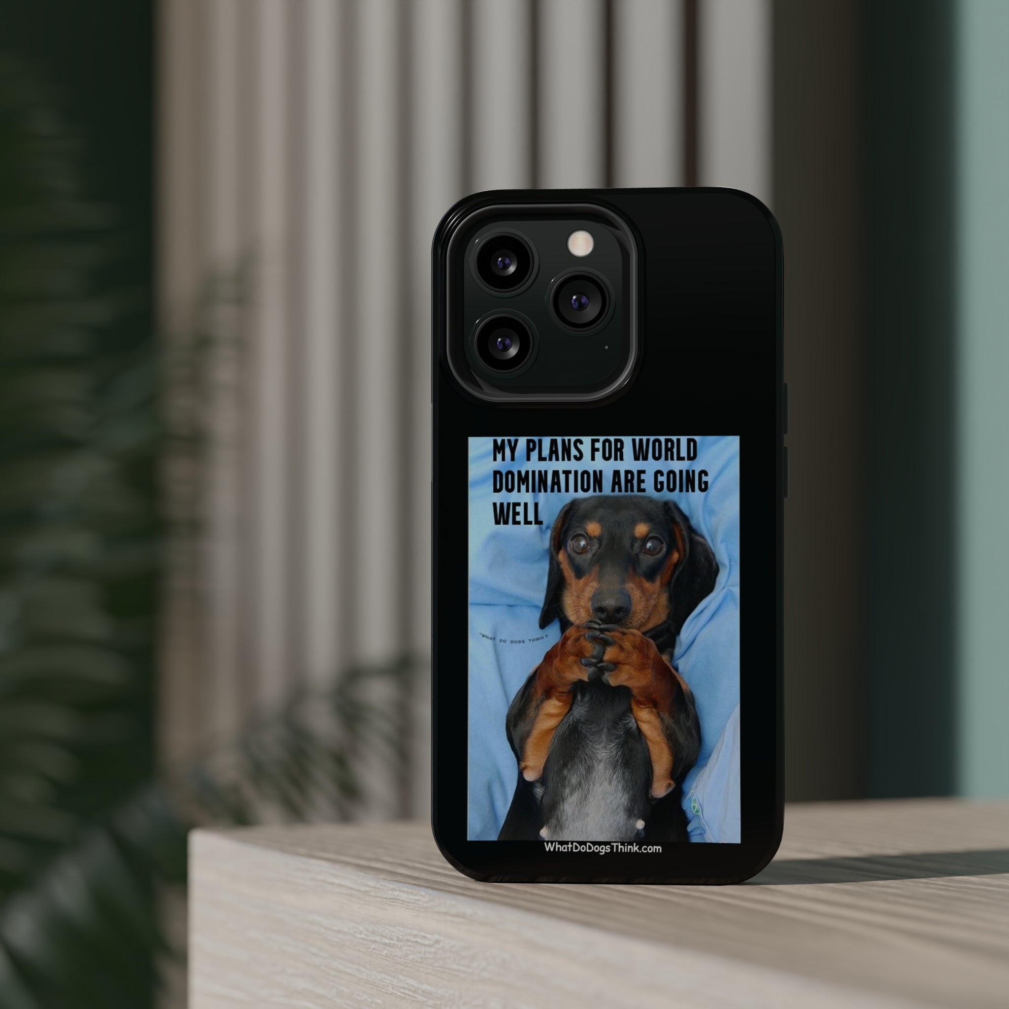 World Domination Black MagSafe Tough Cases