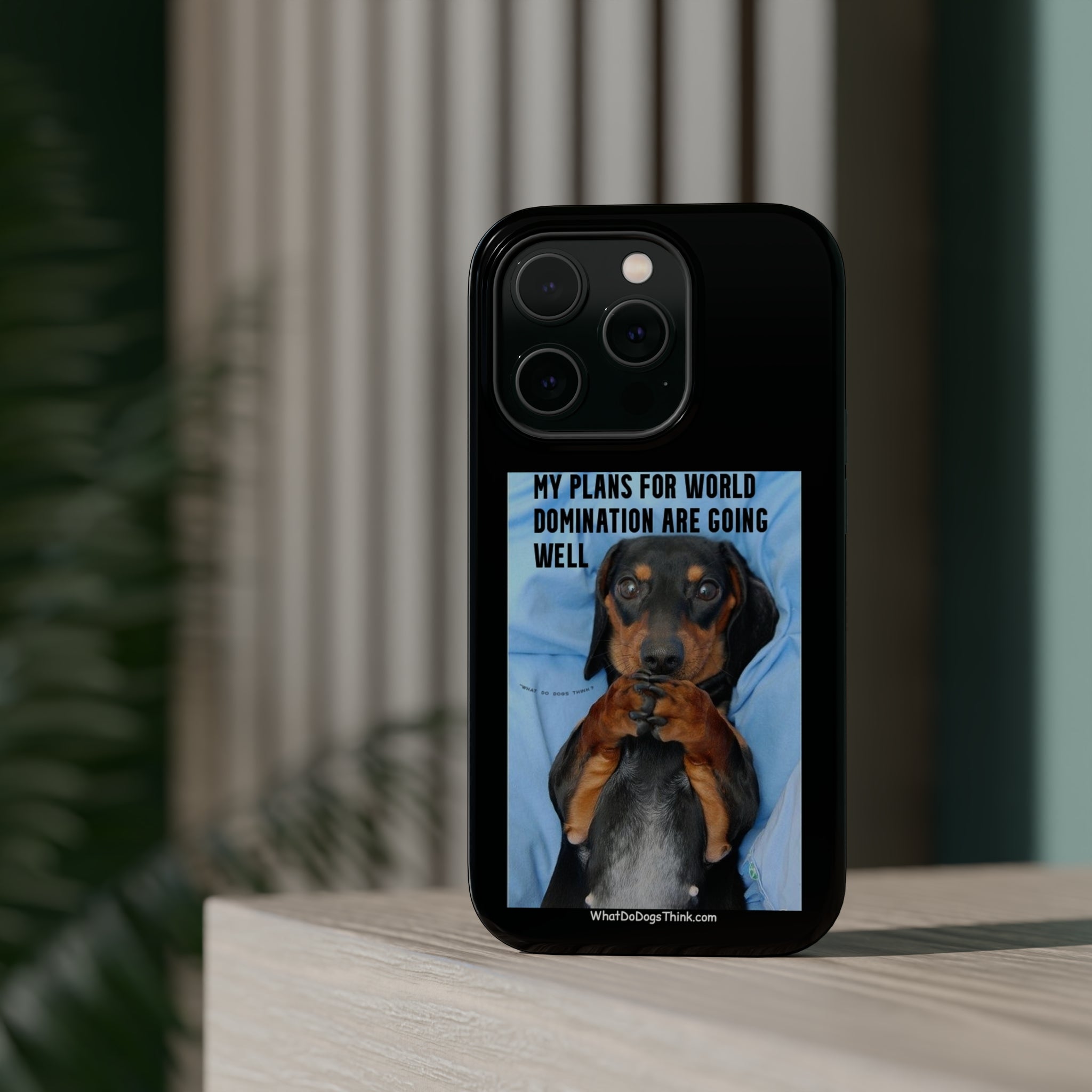 World Domination Black MagSafe Tough Cases