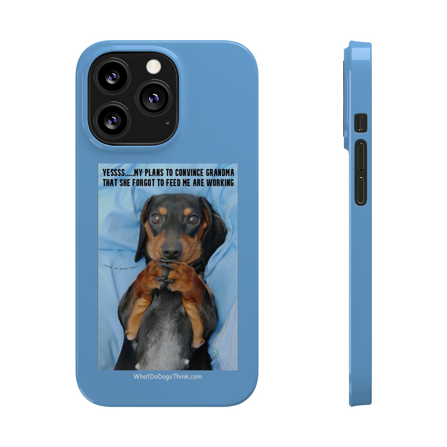 Grandma    Blue Slim Phone Cases