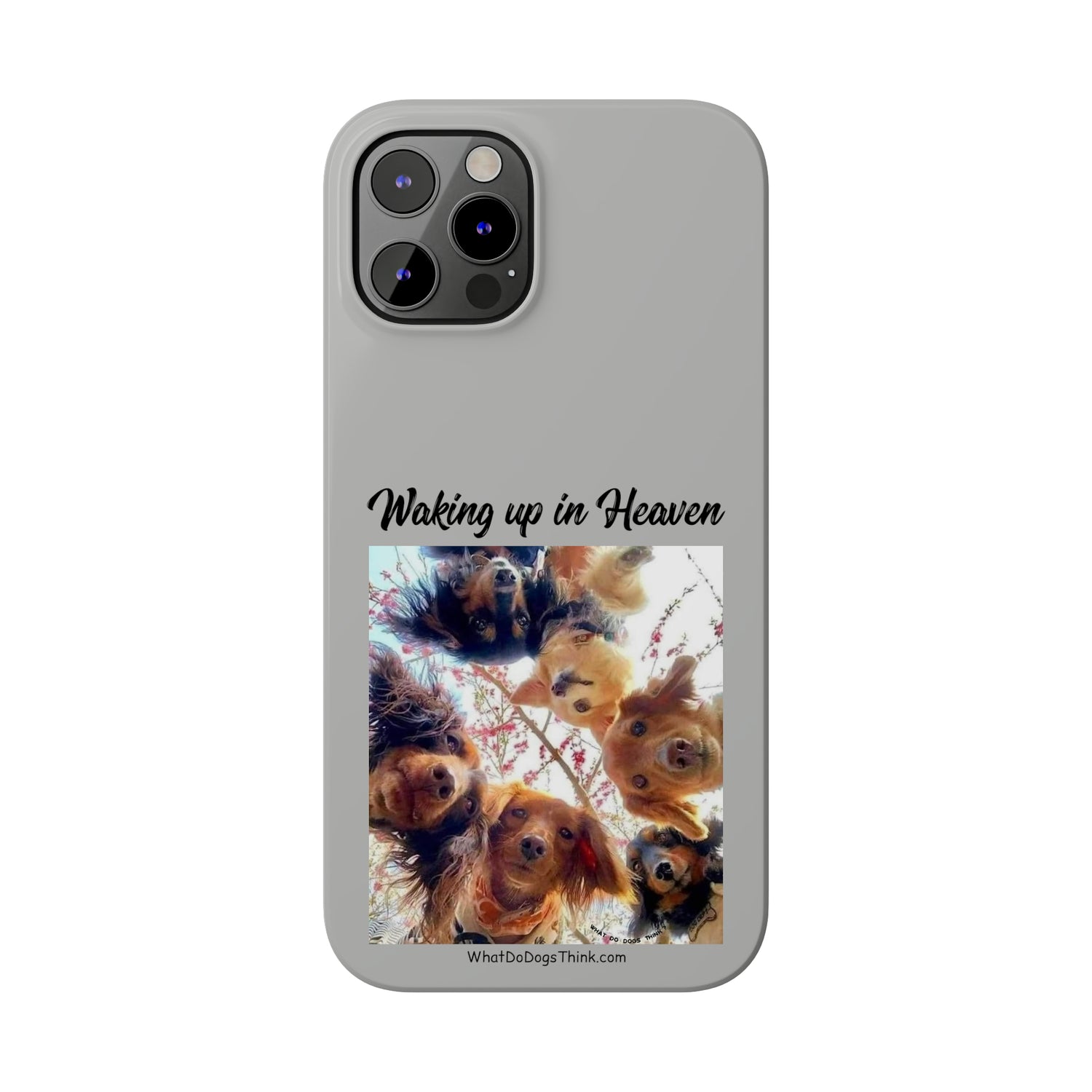 Waking Up In Heaven     Grey Slim Phone Cases