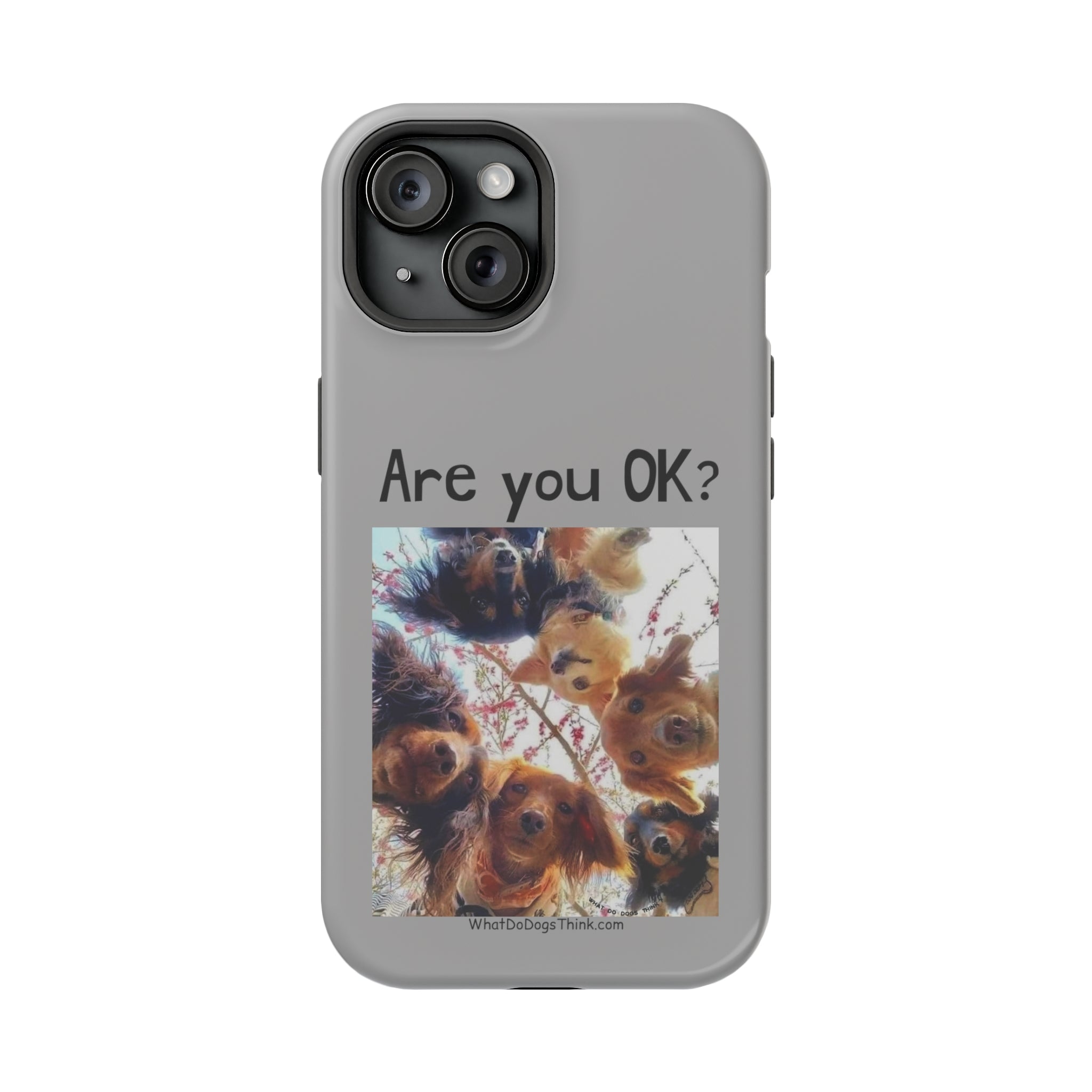 Are you OK?   Grey MagSafe Tough Cases