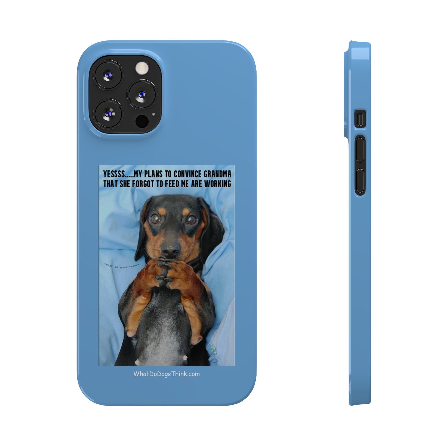 Grandma    Blue Slim Phone Cases