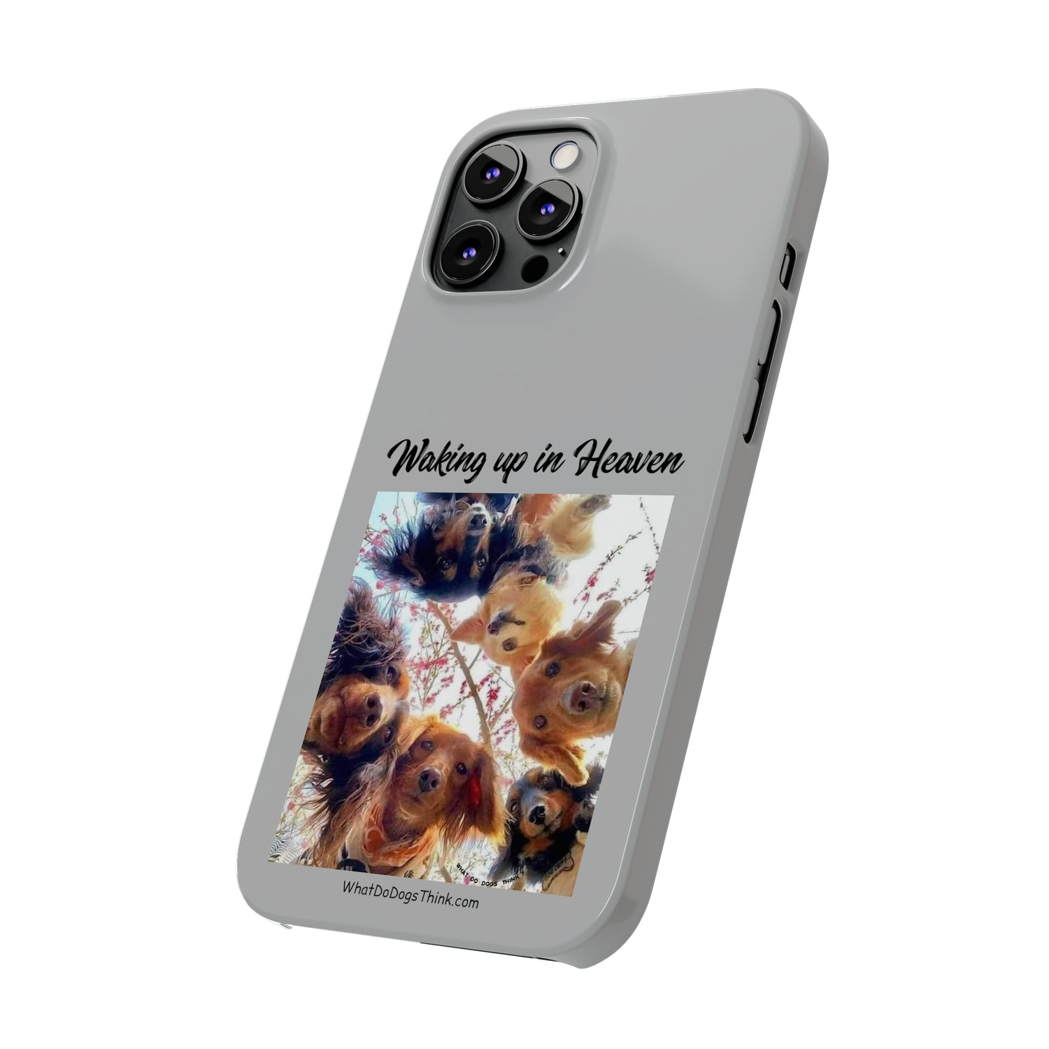 Waking Up In Heaven     Grey Slim Phone Cases