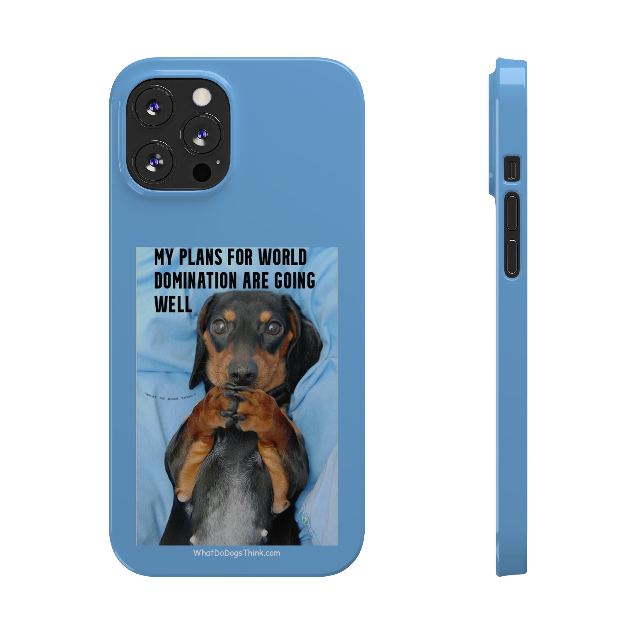 World Domination     Blue Slim Phone Cases