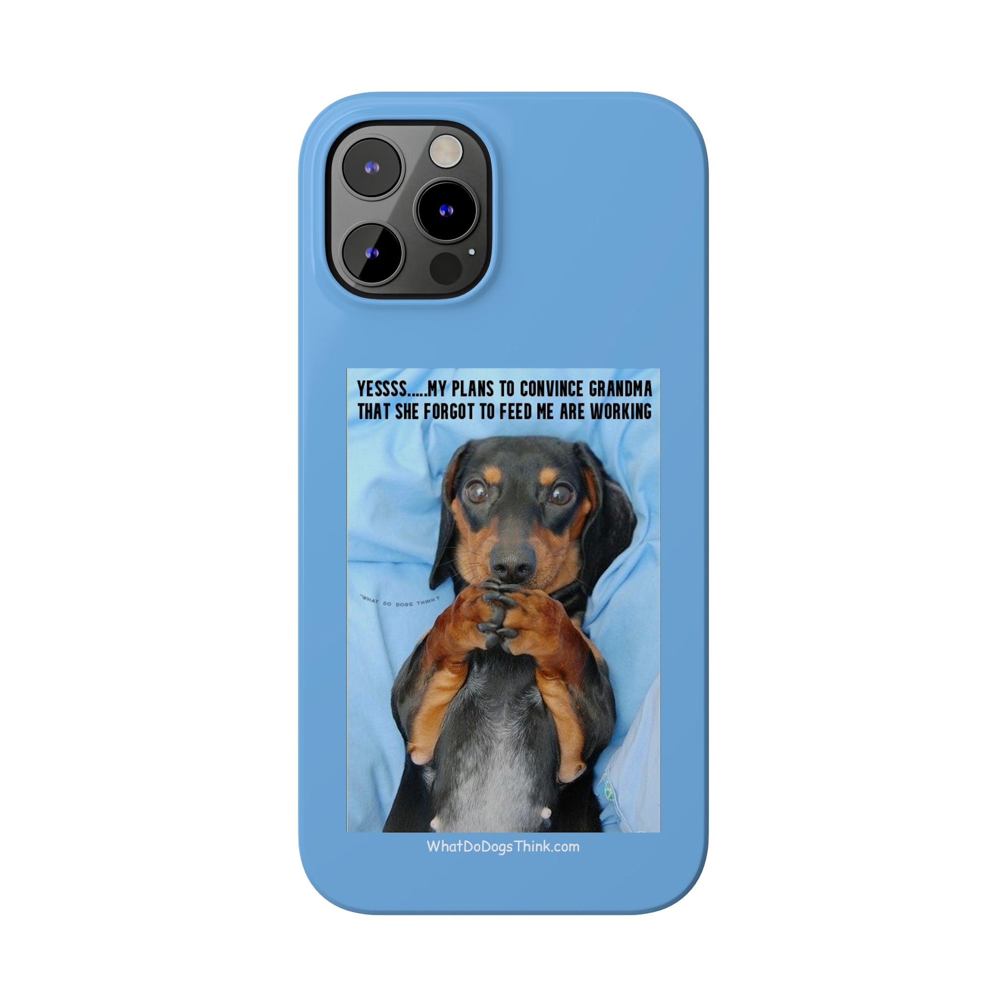 Grandma    Blue Slim Phone Cases