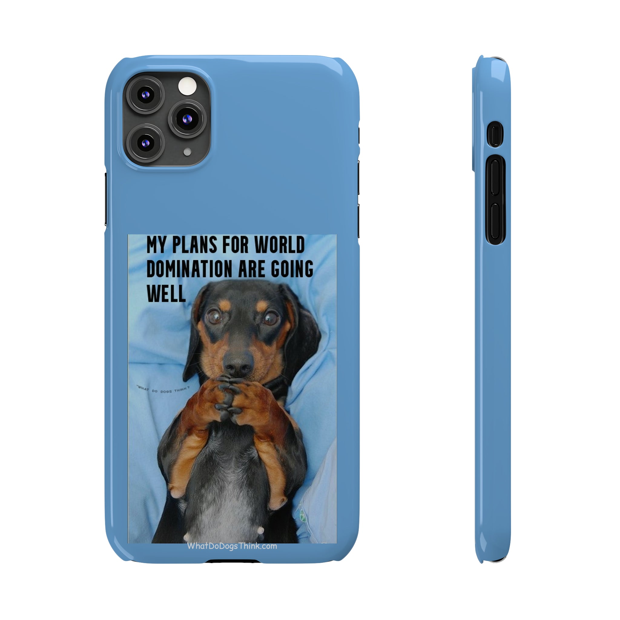 World Domination     Blue Slim Phone Cases