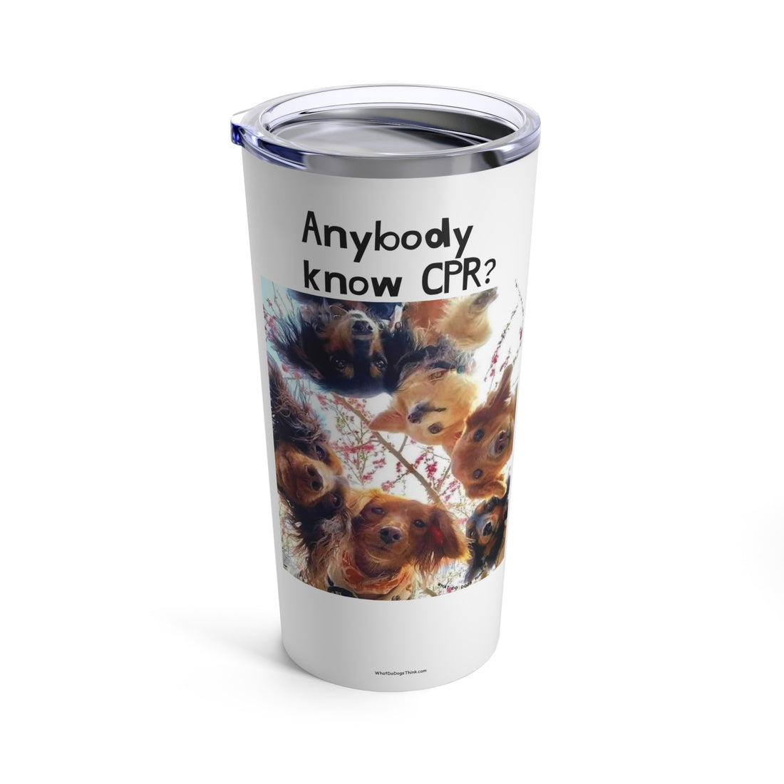 Are you OK White Tumbler 20oz