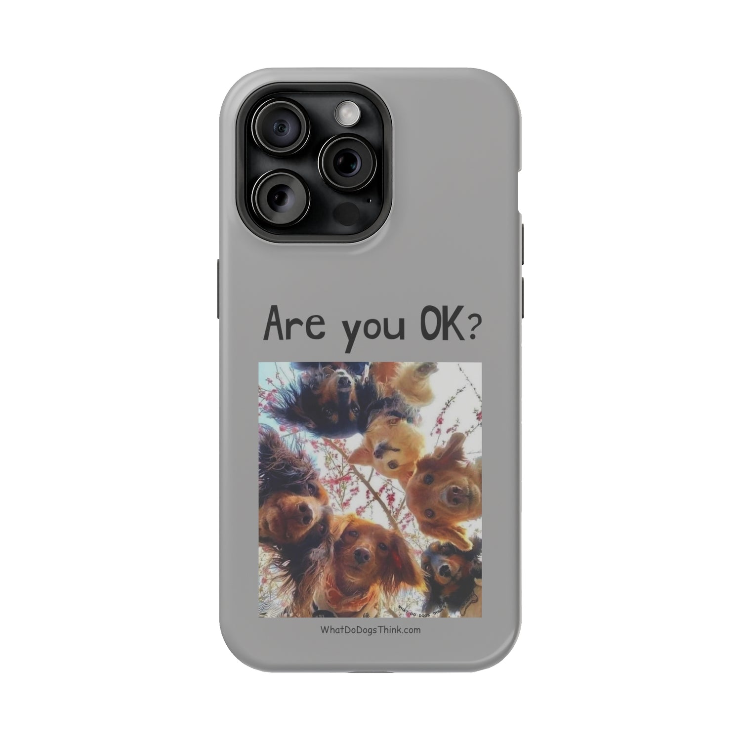 Are you OK?   Grey MagSafe Tough Cases