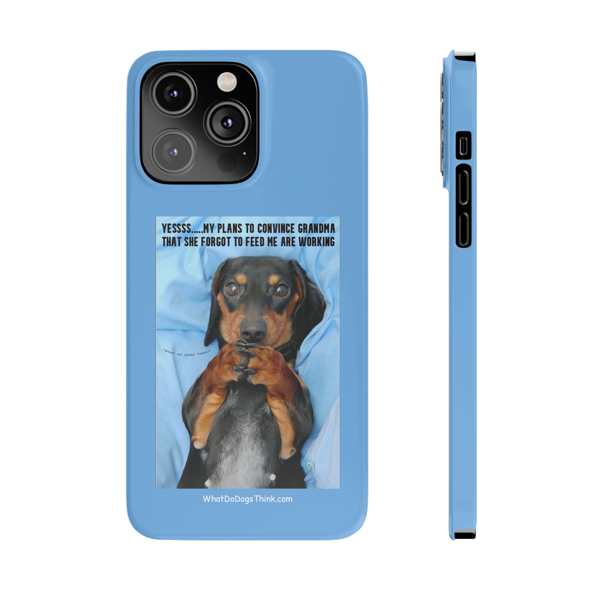 Grandma    Blue Slim Phone Cases