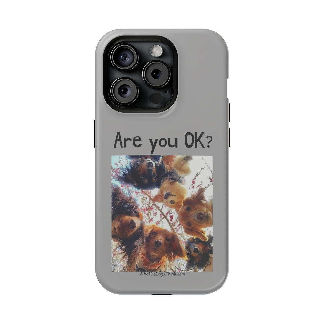 Are you OK? Grey MagSafe Tough Cases