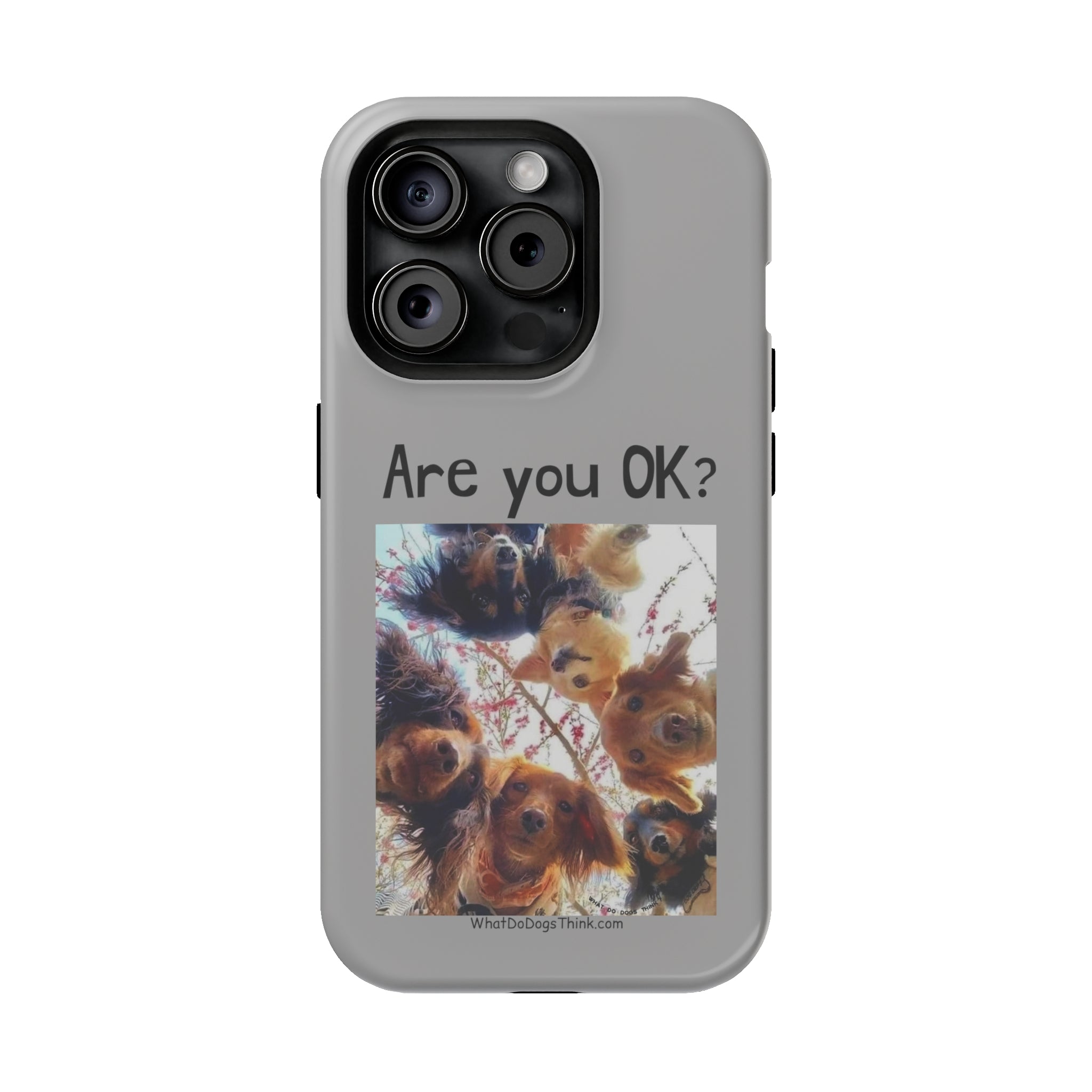 Are you OK?   Grey MagSafe Tough Cases