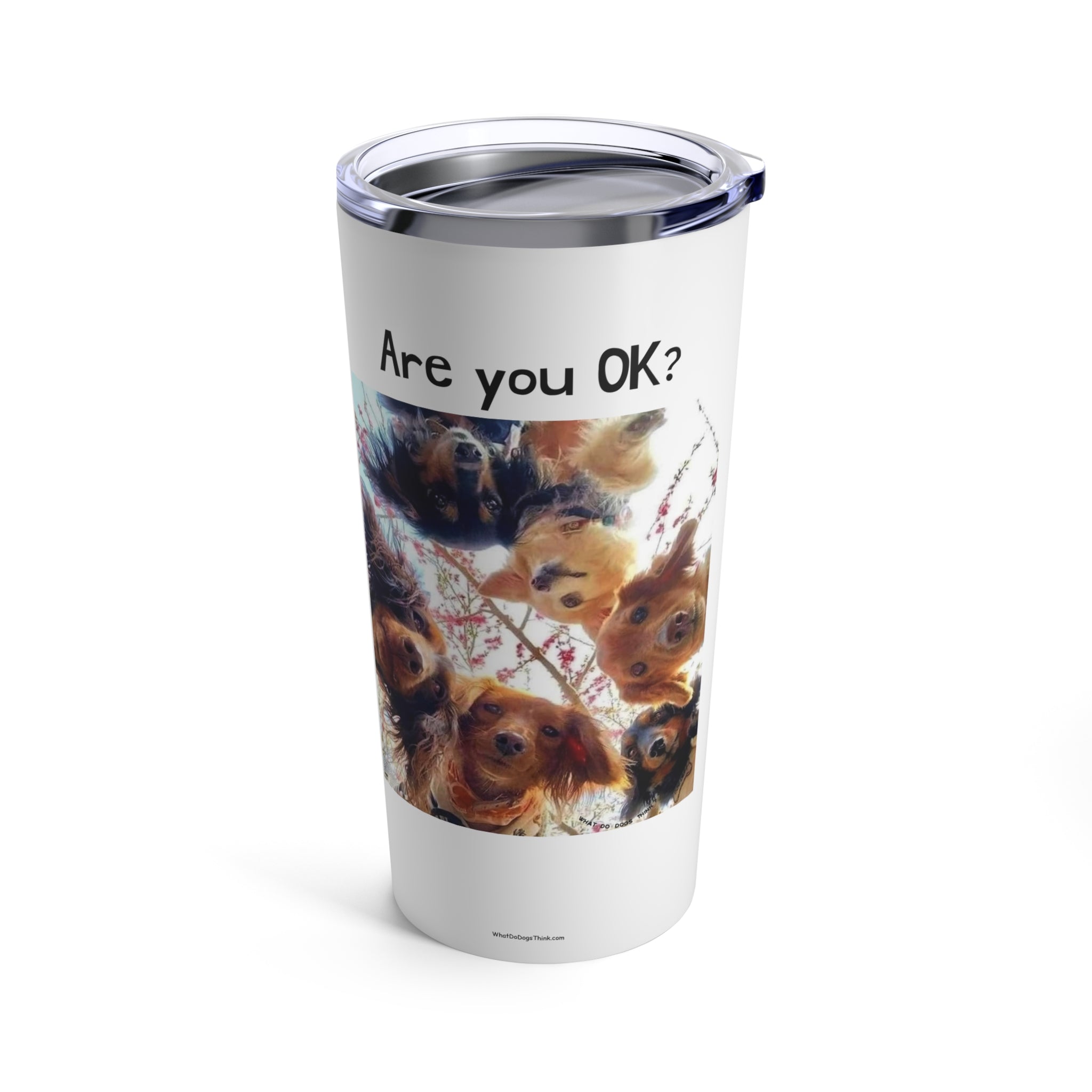 Are you OK White Tumbler 20oz 